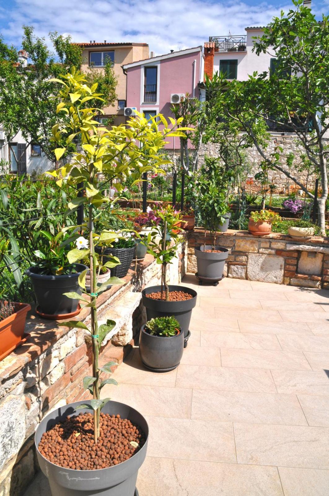 Apartment Delight City Rovinj Exterior foto